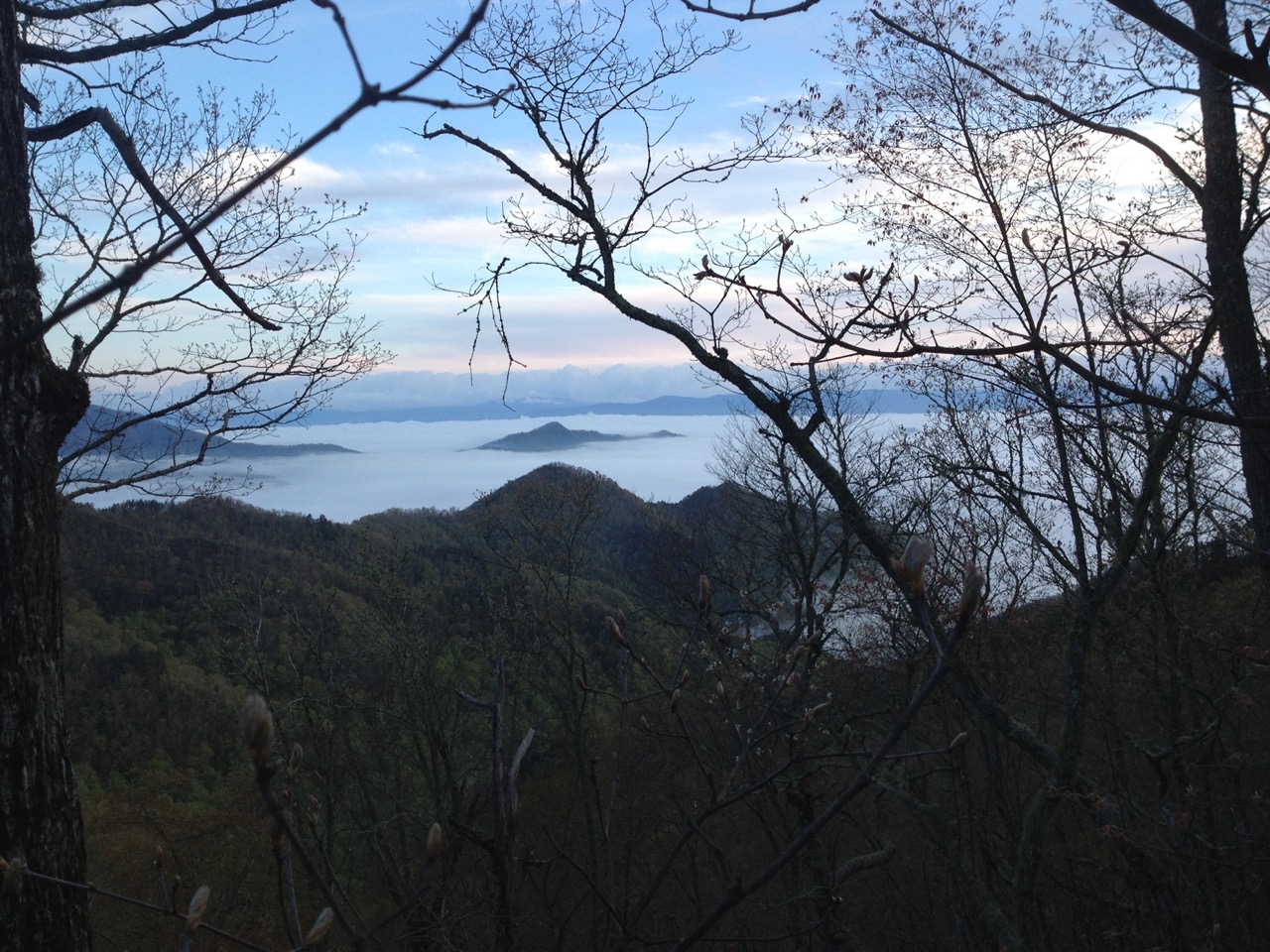 Mountains rising above the mist