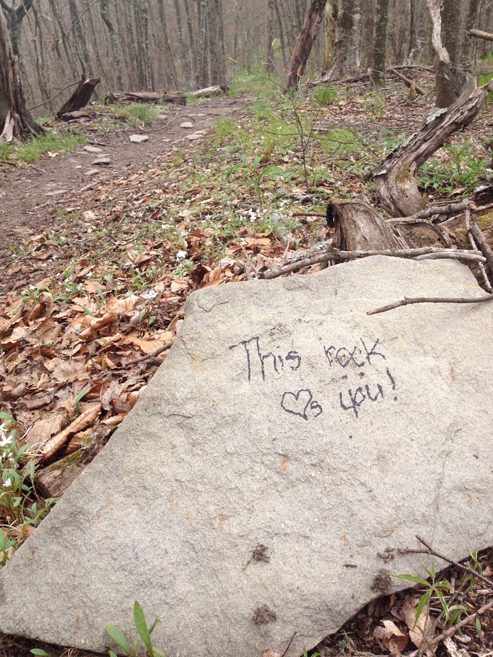 It's the little things