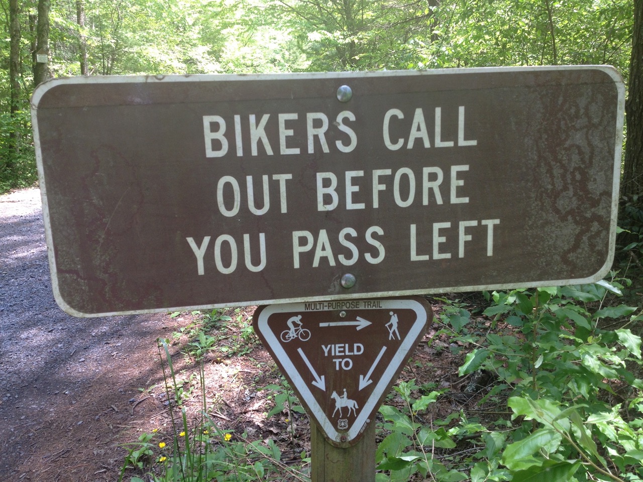 Americans love signs